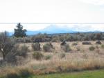 IMG_0022 (2)