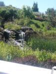 Oregon Gardens, Silverton, July 2010