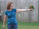 Birds in our yard